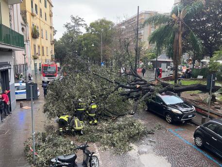 Vento forte a Napoli, crollano alberi ed impalcature